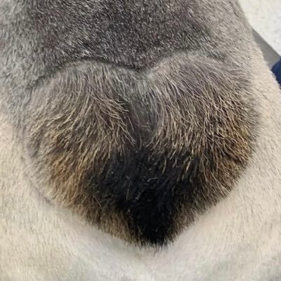 yueshenlee's profile picture. 