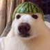 Oscarinho (@oscarinho_21_) Twitter profile photo Oscarinho (@oscarinho_21_) Twitter profile photo
