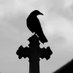 _always_and_forever_ | Met the Crows 🐦⬛ | 🌒 🦋 (@andbenlovesrey) Twitter profile photo _always_and_forever_ | Met the Crows 🐦⬛ | 🌒 🦋 (@andbenlovesrey) Twitter profile photo