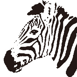 BrockenG's profile picture. 嫌いな物は戦争。好きな物は世界平和とパイパンです。