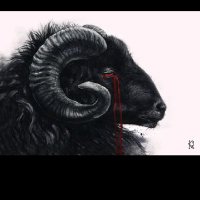 Black sheep(@blacksheep5457) 's Twitter Profile Photo