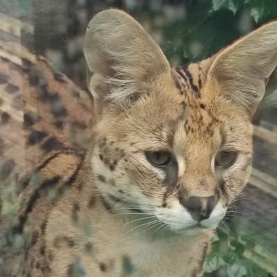 mateusz8901q's profile picture. 