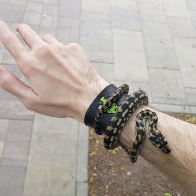 AbuKabzon's profile picture. 26 y/o boy from 🇺🇦 Ukraine, Odesa. Currently in 🇨🇦 Canada, Toronto, starting my new life here 

xQc fan-degenerate. Hi :)