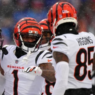 BengalsBandito's profile picture. Bengals