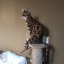 Mara Blevins - @LauniereSu51146 - Twitter