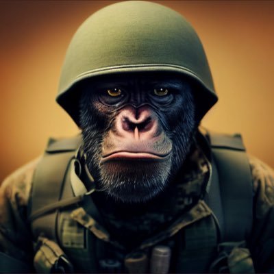 Gkhan4136's profile picture. TradingView-Goekhan1982