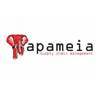 APAMEIA(@apameia_eth) 's Twitter Profile Photo