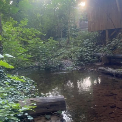 passthajo1nt's profile picture. HAAAAAANNNNN