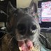 Mrcheezle (@j_westenberger) Twitter profile photo Mrcheezle (@j_westenberger) Twitter profile photo
