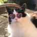 ♥️Wuffy is Floofy, an vury happy xx♥️ (@wuffyisfloofy) Twitter profile photo ♥️Wuffy is Floofy, an vury happy xx♥️ (@wuffyisfloofy) Twitter profile photo