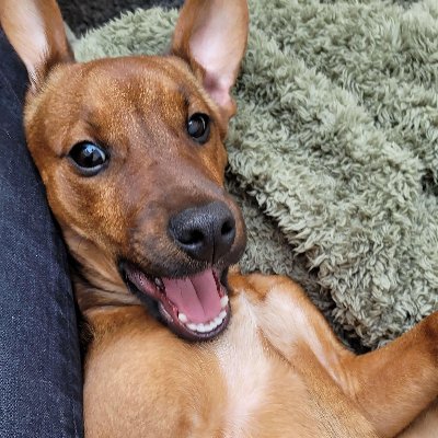 EditsLeague's profile picture. CODE MEMO / JML LOVER  | STUPID GAMBLER | DEIN VATER