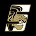 Sidelines-Lindenwood (@SSN_LindenwoodU) Twitter profile photo