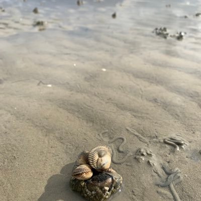 TropusJ's profile picture. 