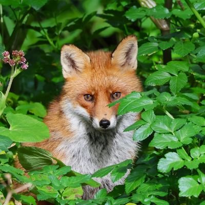 eaclear53's profile picture. 