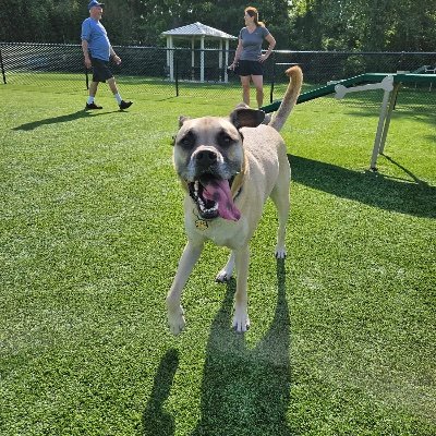 RyGuy862's profile picture. 