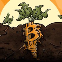 Taproot Alpha (@taprootalpha) 's Twitter Profile Photo Taproot Alpha (@taprootalpha) 's Twitter Profile Photo