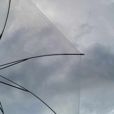 𝐬𝐤𝐲𝐥𝐢𝐧𝐞さんのプロフィール画像