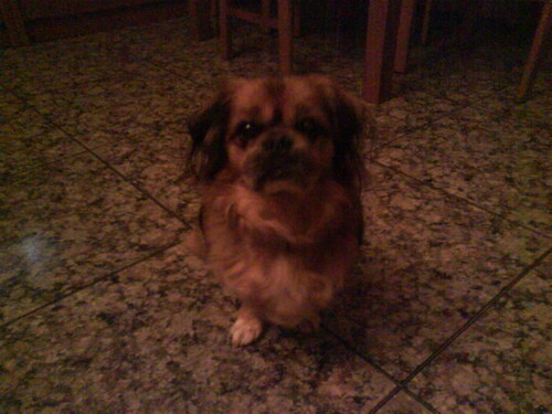 Nacida para vivir