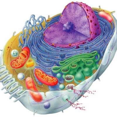 Early stage biotech VC, transitioning to BP soon!