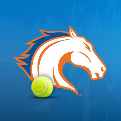 The official account of the UT Arlington men's tennis program. #BuckEm 🐎