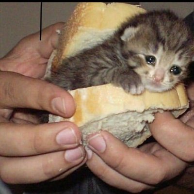 FlakesUnfrosted's profile picture. 