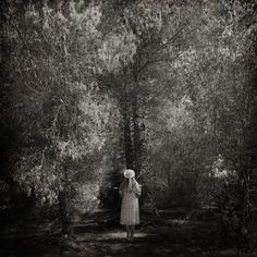 SereYuca's profile picture. Exploring Twitter X.