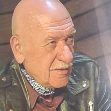 domsss19178073's profile picture. Dalmatinac.Profesionalan komentator.