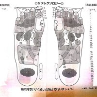 積立インデックスさん (@indextoshifire) Twitter profile photo