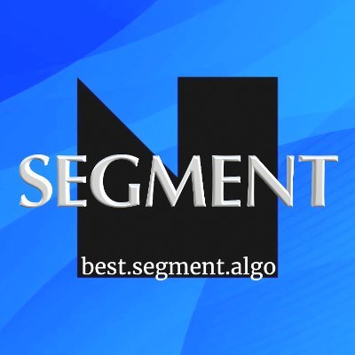 BestSegment's profile picture. segment.algo