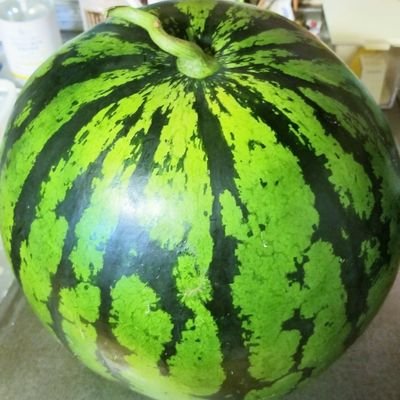 Snow_board_74's profile picture. 