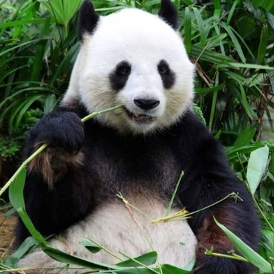 NinaaMeyers's profile picture. 