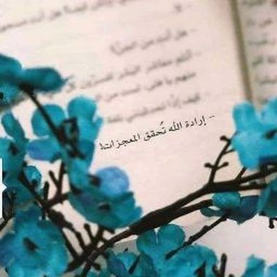 لا أكُف عن المُحاولة ♡
في الرُكن البعيد الهادى 💕
الزهره اللي بتنبت في الصَخر هىَّ
أجمل وأندَّر الزهور.
=أفندم!
-مِش مُمكن هَتلاقي زي البِنت دي ولابعد ١٠٠سَنة