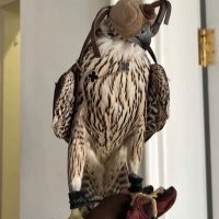 ✿ (@9hui_3) 's Twitter Profile
