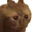 KingGetOwnedv2's profile picture. CS2 skins enjoyer :)