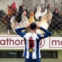 Jorge (@coblentzjorge) 's Twitter Profile