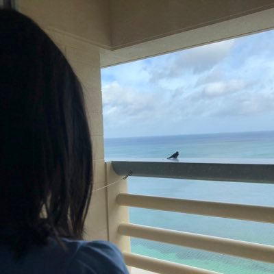 pobikoke's profile picture. 動物園と水族館がすき とくに大型海棲哺乳類に目がない　最近はスノストもおっかけ中🏃‍➡️