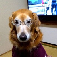 トール (@tall819nori) Twitter profile photo