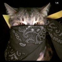 kazzz (@ema3l3) 's Twitter Profile