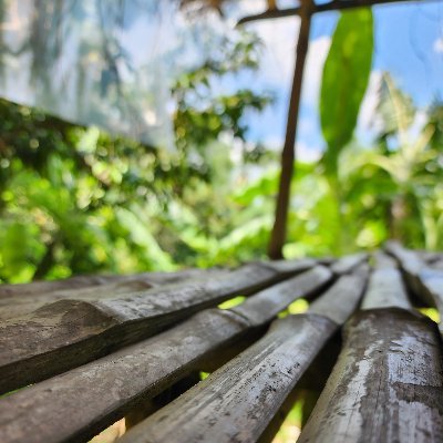 phby1000's profile picture. 