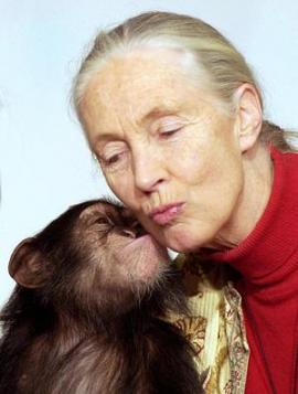 i'm Jane Goodall, nuff said.
