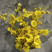 ابووليد الحريص (@abwwlydalhrys) Twitter profile photo