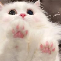 Edna (@chatrooditata) 's Twitter Profile