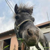 神田明神 (@kanda_myoujin) 's Twitter Profile Photo 神田明神 (@kanda_myoujin) 's Twitter Profile Photo