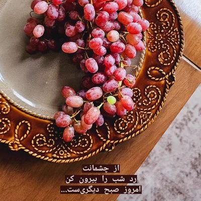 amir1994sm20's profile picture. یک حقوقدانه درونگرا با افکار خاص ... از دانشگاهی به نام تهران