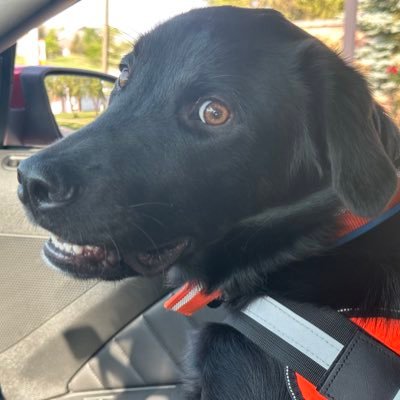 tjnevil's profile picture. 