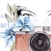 W Craig Photography LLC (@windycraigart) Twitter profile photo W Craig Photography LLC (@windycraigart) Twitter profile photo