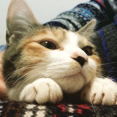 beyaso's profile picture. Techouse代表取締役社長兼エンジニア。トヨタやSONYのような企業を現代からも生み出すべく日々頑張っております。 Techouseはモノづくりの会社のため、私自身もプロダクト開発に軸足をおいており、事業企画・システム設計・実装・カスタマーサクセスなど何でもやります。