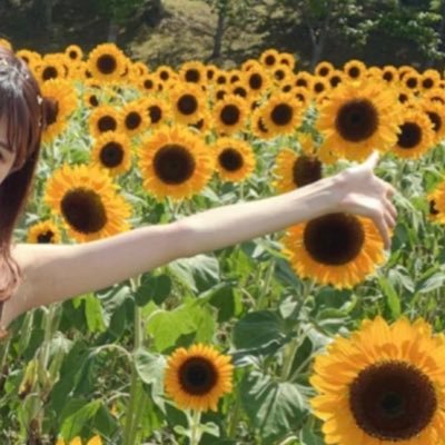 ✨さんのプロフィール画像