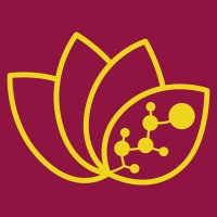 Systems Chemistry Lab (@syschemlab) 's Twitter Profile