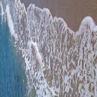 hector36 (@hector361170919) Twitter profile photo